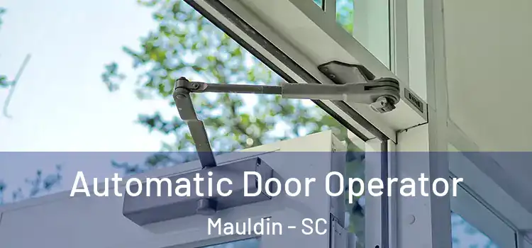  Automatic Door Operator Mauldin - SC