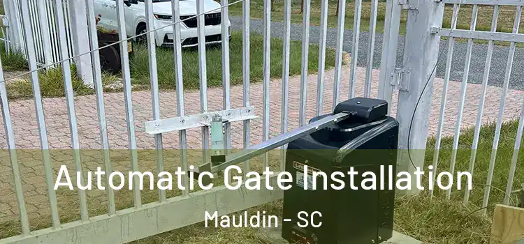  Automatic Gate Installation Mauldin - SC