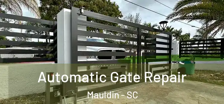  Automatic Gate Repair Mauldin - SC