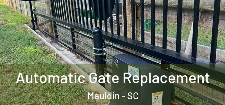  Automatic Gate Replacement Mauldin - SC