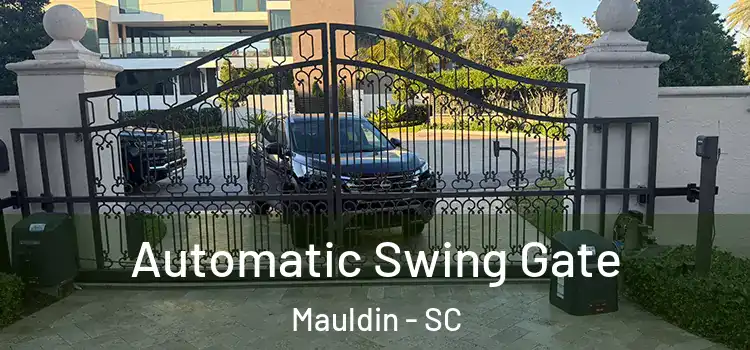  Automatic Swing Gate Mauldin - SC