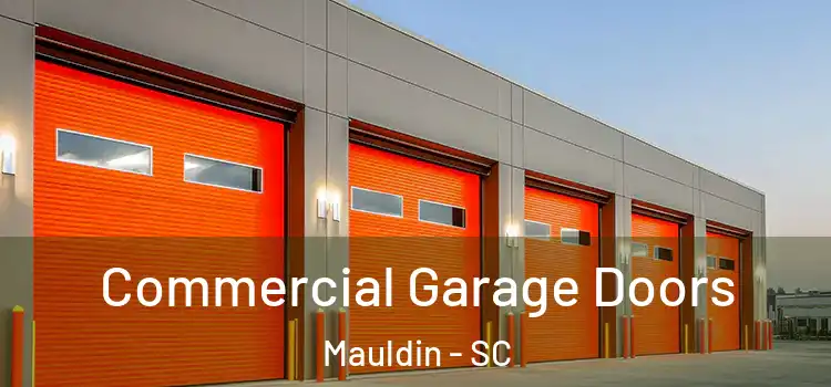  Commercial Garage Doors Mauldin - SC