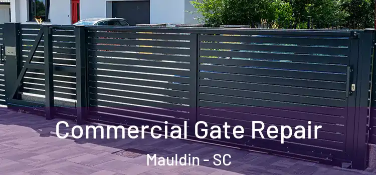  Commercial Gate Repair Mauldin - SC