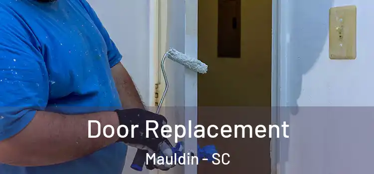  Door Replacement Mauldin - SC