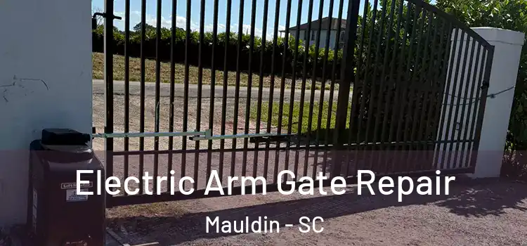  Electric Arm Gate Repair Mauldin - SC