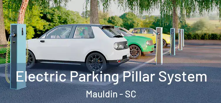  Electric Parking Pillar System Mauldin - SC
