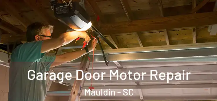  Garage Door Motor Repair Mauldin - SC