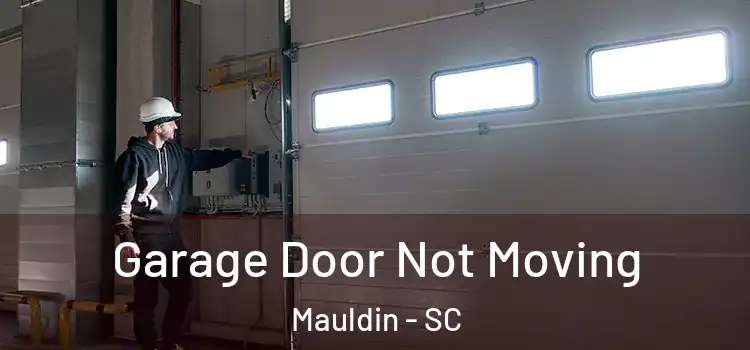  Garage Door Not Moving Mauldin - SC