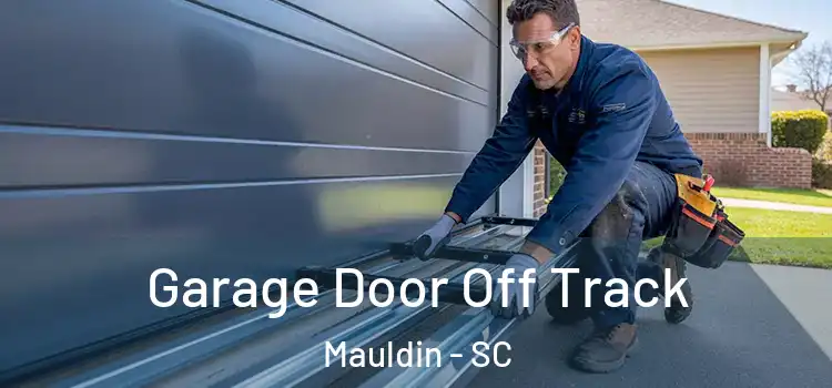  Garage Door Off Track Mauldin - SC