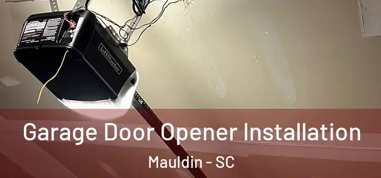  Garage Door Opener Installation Mauldin - SC