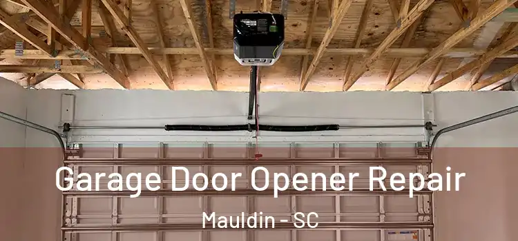  Garage Door Opener Repair Mauldin - SC