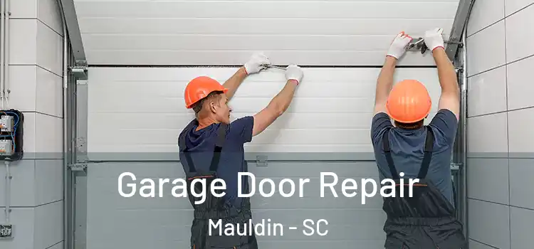  Garage Door Repair Mauldin - SC