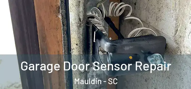  Garage Door Sensor Repair Mauldin - SC