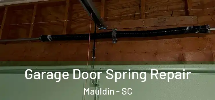  Garage Door Spring Repair Mauldin - SC