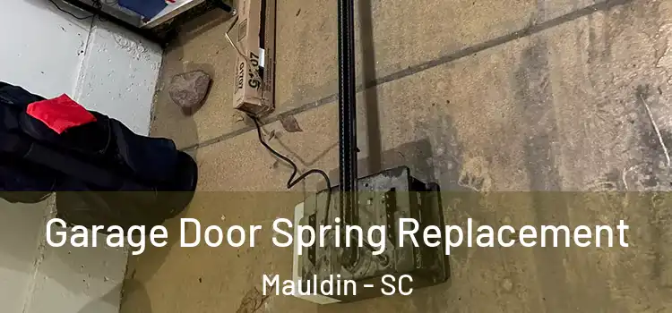  Garage Door Spring Replacement Mauldin - SC