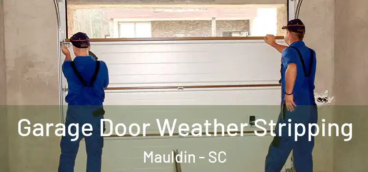  Garage Door Weather Stripping Mauldin - SC