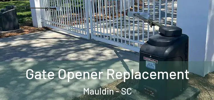  Gate Opener Replacement Mauldin - SC