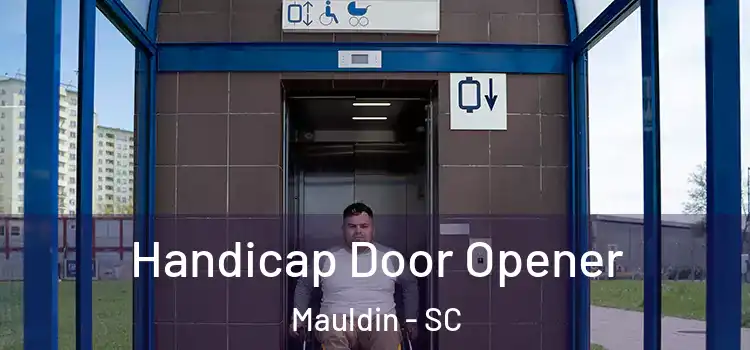  Handicap Door Opener Mauldin - SC