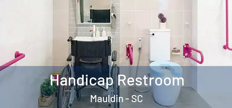  Handicap Restroom Mauldin - SC