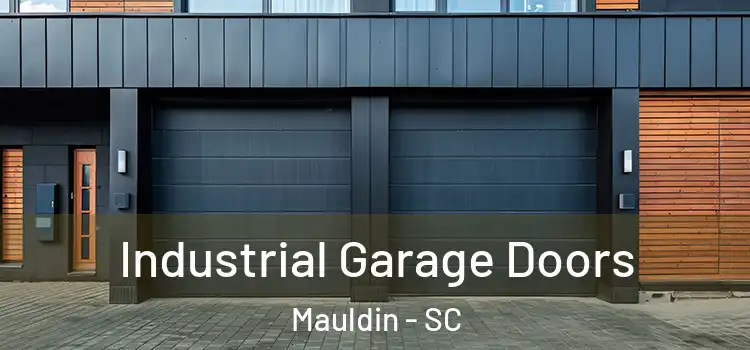  Industrial Garage Doors Mauldin - SC