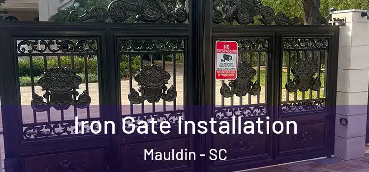  Iron Gate Installation Mauldin - SC