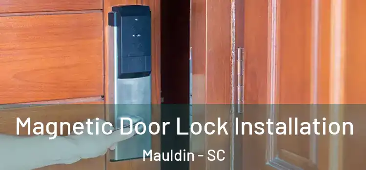  Magnetic Door Lock Installation Mauldin - SC