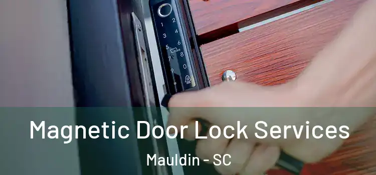  Magnetic Door Lock Services Mauldin - SC