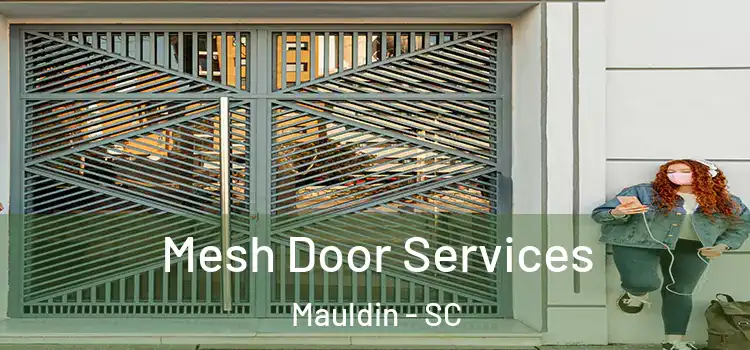  Mesh Door Services Mauldin - SC