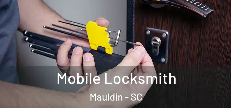  Mobile Locksmith Mauldin - SC