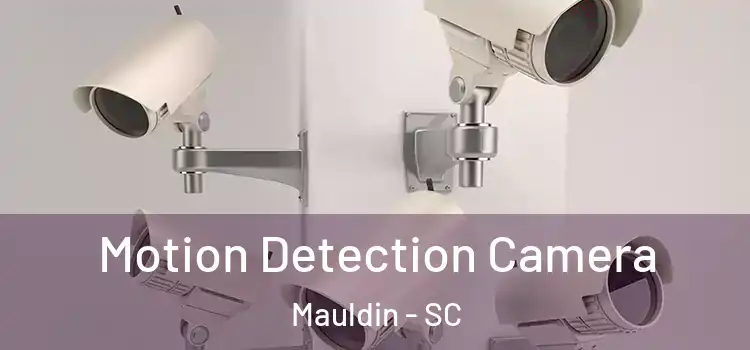  Motion Detection Camera Mauldin - SC