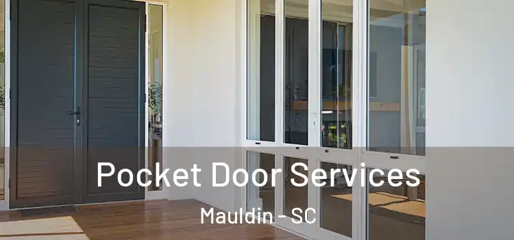  Pocket Door Services Mauldin - SC