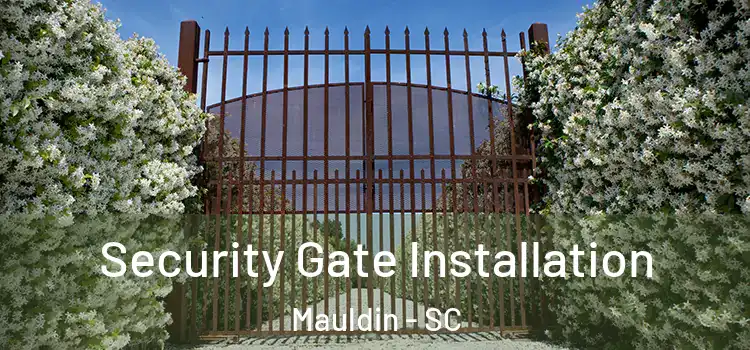  Security Gate Installation Mauldin - SC