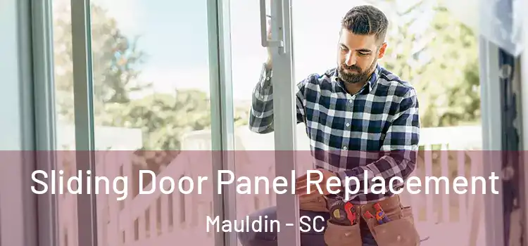  Sliding Door Panel Replacement Mauldin - SC
