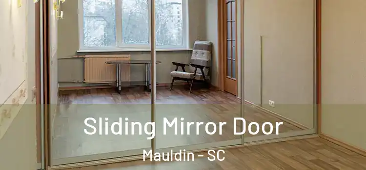  Sliding Mirror Door Mauldin - SC