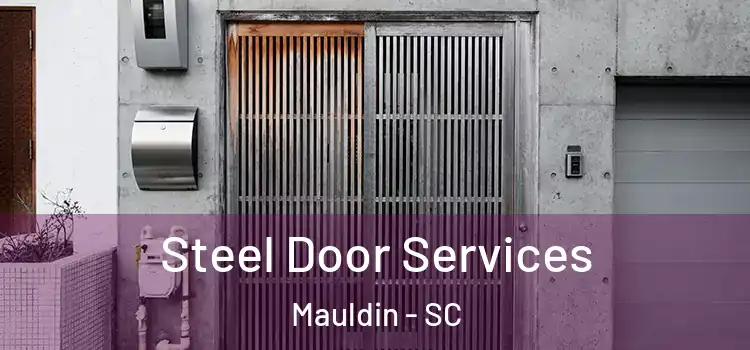  Steel Door Services Mauldin - SC
